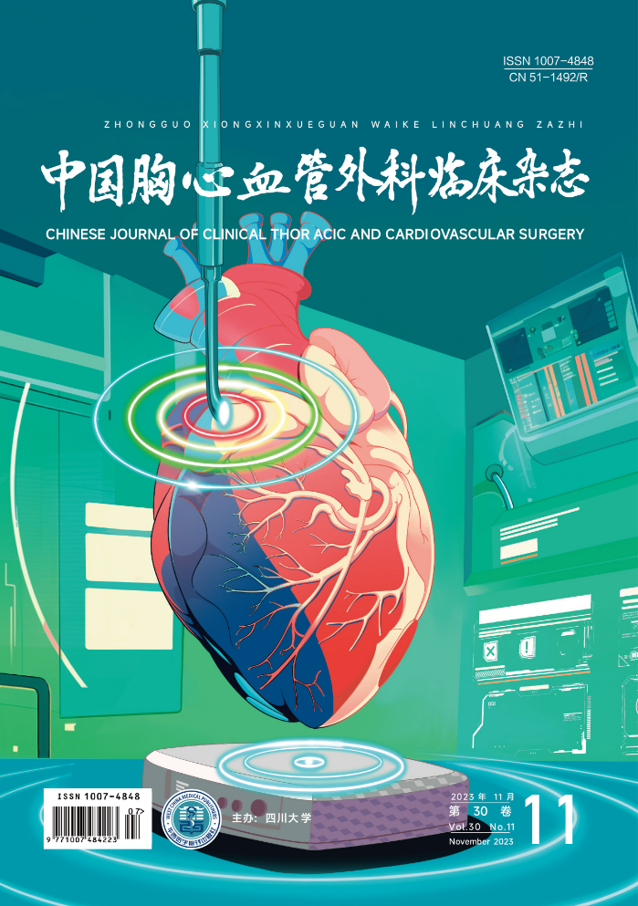 《中國(guó)胸心血管外科臨床雜志》2023年第11期封面賞析